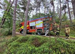 Ćwiczenia terenowe w Białogórze - 06.06.2025