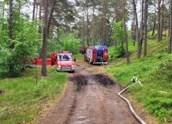 Ćwiczenia terenowe w Białogórze - 06.06.2025