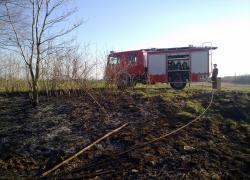 Pożar trawy i ściółki w Lisewie - 20.04.2011
