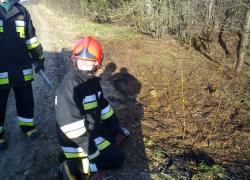 Pożar trawy i ściółki w Lisewie - 20.04.2011