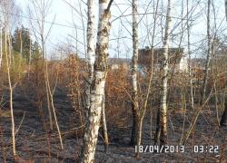 Pożar lasu w Słuszewie - 18.04.2013