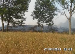 Pożar balotów słomy w Lisewie - 26, 27,28.07.2013
