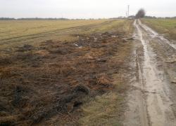 Pożar balotów słomy w Toliszczku - 13.02.2014