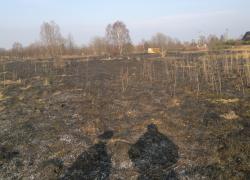 Pożar suchej trawy w Salinie - 27.02.2014