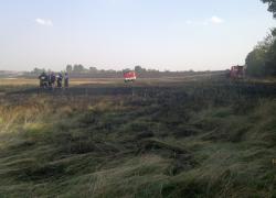Pożar zboża w miejscowości Kurowo - 03.08.2014