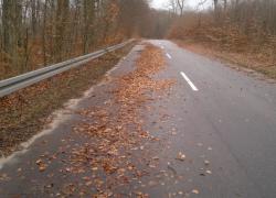 Zaspy z liści i gałęzi na trasie Czymanowo – Gniewino - 11.01.2015