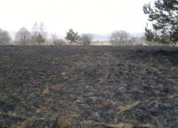 Pożar suchej trawy w Czymanowie