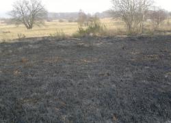 Pożar suchej trawy w Czymanowie - 20.02.2015