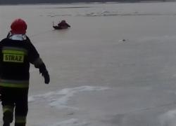 Podejrzenie przymarznięcia łabędzi na jeziorze Żarnowieckim