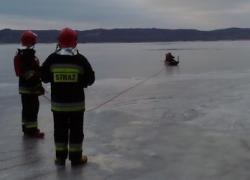 Podejrzenie przymarznięcia łabędzi na jeziorze Żarnowieckim - 07.01.2016