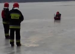 Podejrzenie przymarznięcia łabędzi na jeziorze Żarnowieckim - 07.01.2016