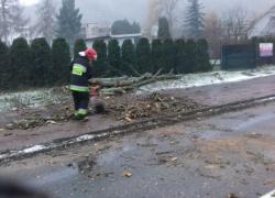 Powalone drzewo na skrzyżowaniu w Czymanowie - 02.01.2019