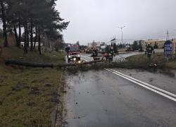 Powalone drzewo na drogę w Czymanowie - 19.02.2022
