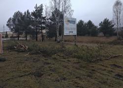 Powalone drzewo na drogę w Czymanowie - 19.02.2022