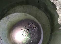 Sarna uwięziona w starej studni ciepłowniczej