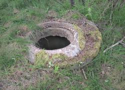 Sarna uwięziona w starej studni ciepłowniczej - 15.06.2022