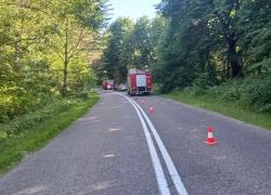 Wypadek samochodowy na trasie Opalino-Rybno
