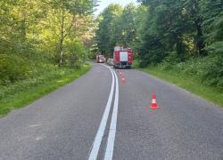 Wypadek samochodowy na trasie Opalino-Rybno - 24.06.2022