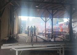 Pożar zakładu przetwórstwa drzewnego w Opalinie - 27.07.2022