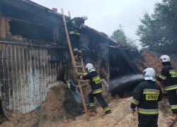 Pożar zakładu przetwórstwa drzewnego w Opalinie - 27.07.2022