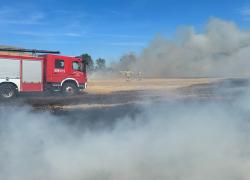 Pożar zboża na pniu i ścierniska w Strzebielinku - 09.07.2023