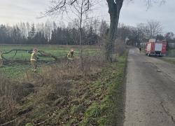 Drzewo zagrażające powaleniem w miejscowości Toliszczek - 16.12.2024