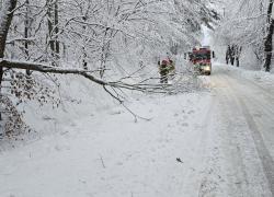 Powalone drzewo na trasie Opalino-Rybno - 12.01.2025