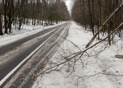 Powalone konary na trasie Nadole-Brzyno