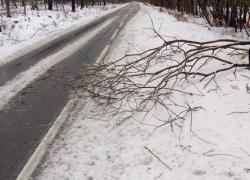 Powalone konary na trasie Nadole-Brzyno - 11.01.2025