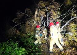 Powalone drzewo na trasie Strzbielinko-Toliszczek - 30.10.2025