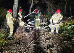 Powalone drzewo na trasie Strzbielinko-Toliszczek - 30.10.2025