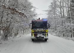 Konary drzew zwisające nad jezdnią - 03.01.2026