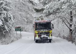 Konary drzew zwisające nad jezdnią