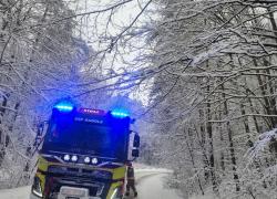 Konary drzew zwisające nad jezdnią - 03.01.2026