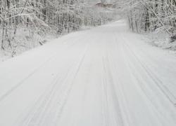 Konary drzew zwisające nad jezdnią - 03.01.2026