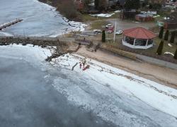 Podejrzenie przymarznięcia sarny na jeziorze Żarnowieckim - 02.03.2026