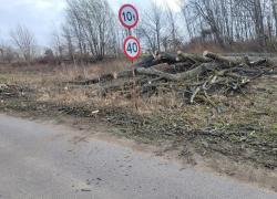 Powalone drzewo w Toliszczku - 08.04.2026