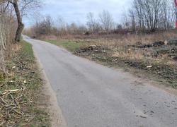 Powalone drzewo w Toliszczku - 08.04.2026