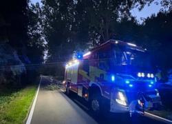 Zwisająca gałąź nad jezdnią w Nadolu - 28.06.2026